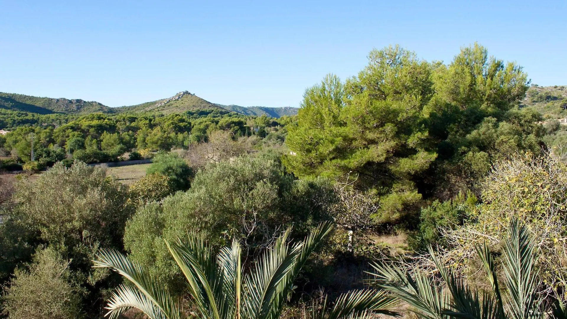 Fonda Las Palmeras Font de sa Cala Spain